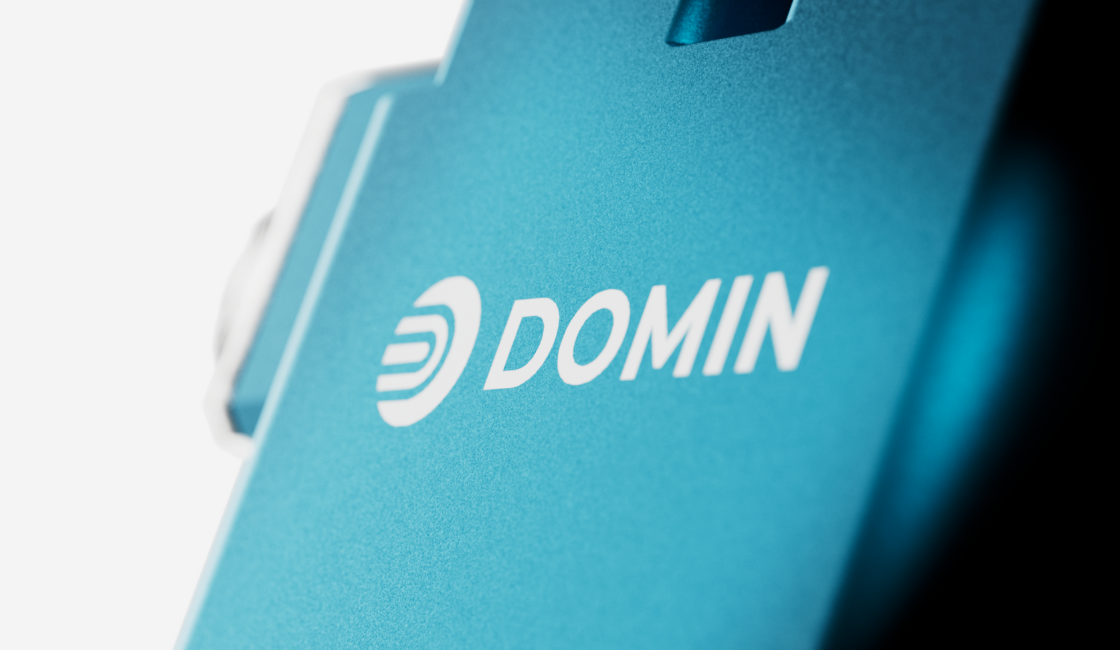 Domin Logo 